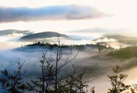 大兴安岭兴安落叶松林 大兴安岭兴安落叶松林