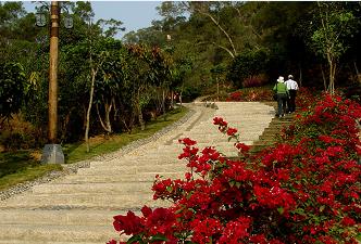 厦门梅海岭 厦门梅海岭