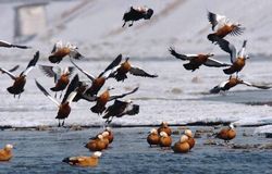 沈阳浑河乐园 沈阳浑河乐园