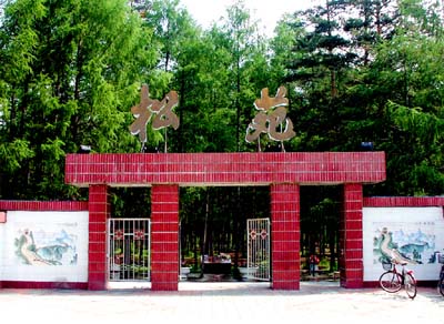 大兴安岭漠河松苑原始森林公园 大兴安岭漠河松苑原始森林公园