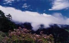 台湾玉山国家公园 台湾玉山国家公园