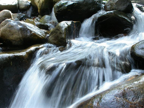巢湖香泉 巢湖香泉