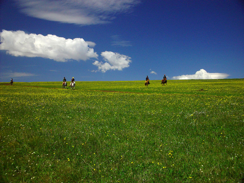 张家口蔚县空中草原 张家口蔚县空中草原