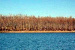 张家口太子湖 张家口太子湖