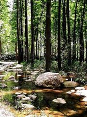 张家口和平森林公园 张家口和平森林公园