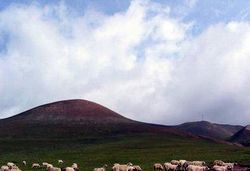 张家口察汗淖尔草原度假村 张家口察汗淖尔草原度假村