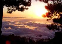 陵川王莽岭风景区 陵川王莽岭风景区