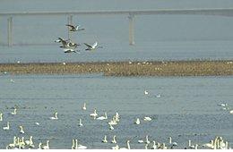 晋城涧河狩猎区 晋城涧河狩猎区