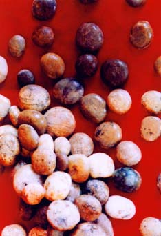 晋城陵川棋子山 晋城陵川棋子山