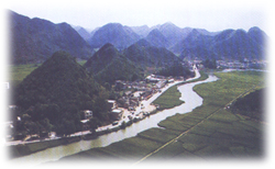 文山广南八宝 文山广南八宝