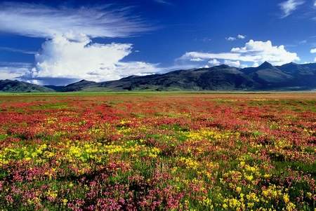 甘孜川西高寒草原 甘孜川西高寒草原