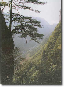 遵义娄山关 遵义娄山关