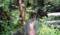 遵义中亚热带自然保护区 遵义中亚热带自然保护区