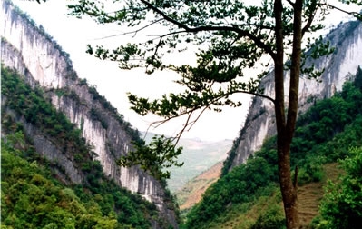 遵义绥阳宽阔水 遵义绥阳宽阔水